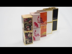 Lipgloss-Behälter-Lippenstift-Rohre Soems kundenspezifische leere mit Großhandelspreis